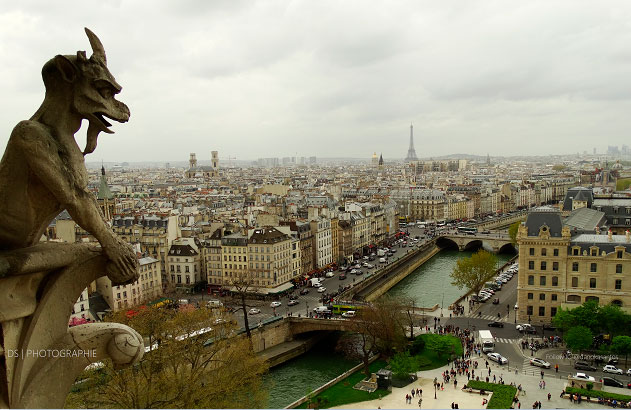 vista aérea das torres da notre dame de paris