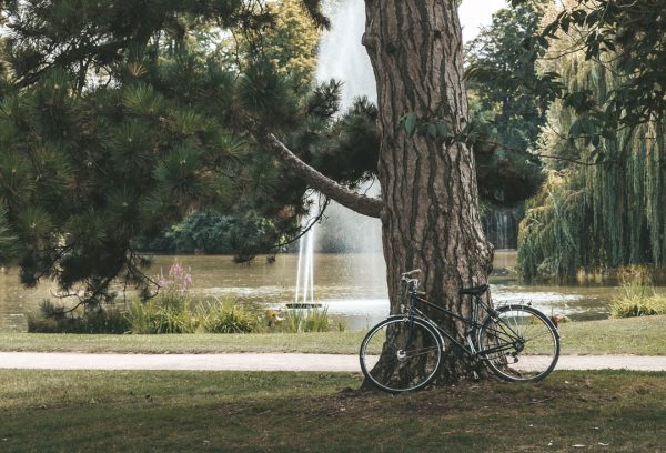 parque das laranjeiras perfeito para andar de bike em estrasburgo