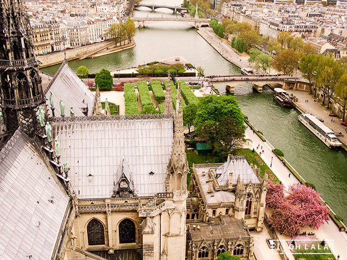 Catedral Notre Dame de Paris