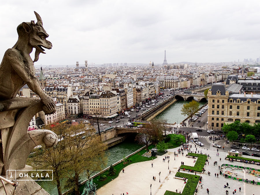 Vista da cidade em cima da Notre Dame