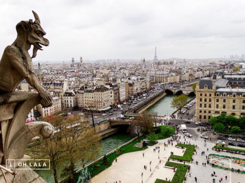 Vista da cidade em cima da Notre Dame