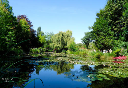 vista do lago das ninféias do jardim de monet em giverny