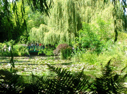 a mais famosa ponte do jardim de monet