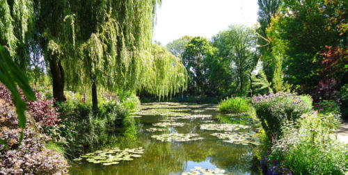 a melhor foto do jardim de monet