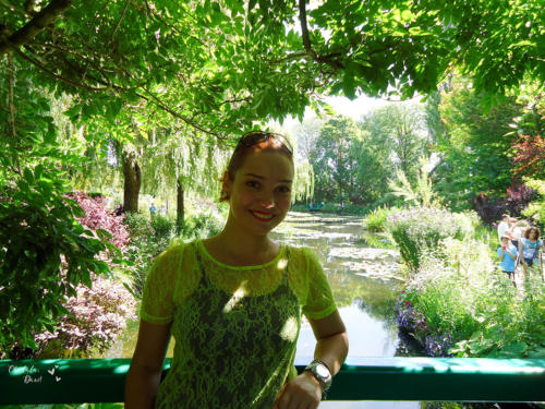 foto na ponte do jardim de monet