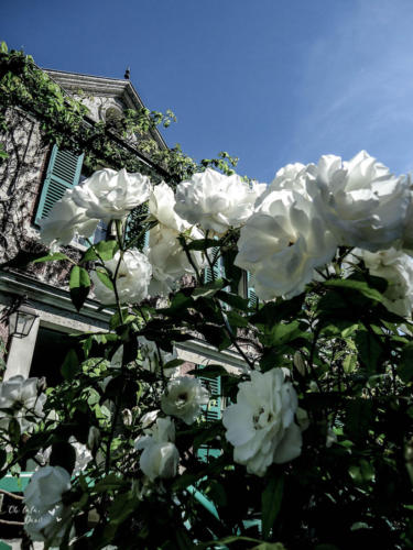 jardins de monet e casa de monet