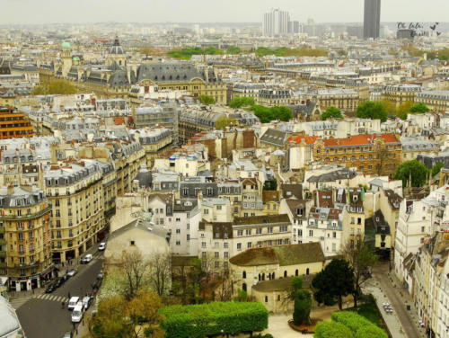 Vista da cidade em cima da Notre Dame