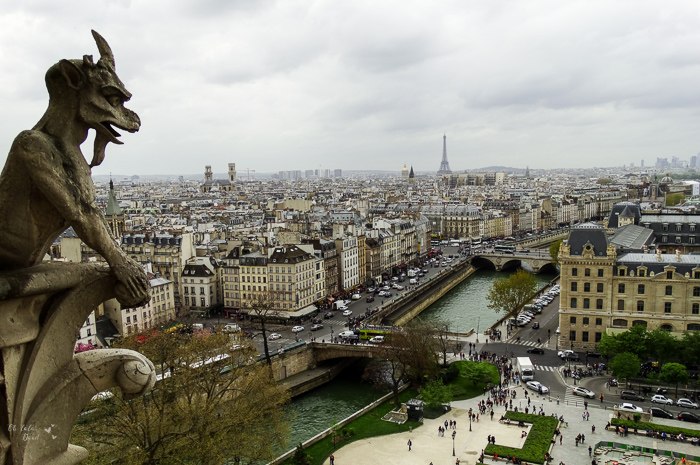 vista aérea de paris oh lala dani